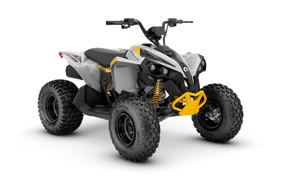 Renegade 110 EFI b